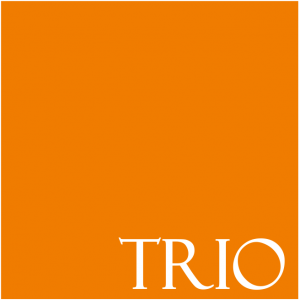 Trio İnsan Kaynakları ve Yönetim Danışmanlığı